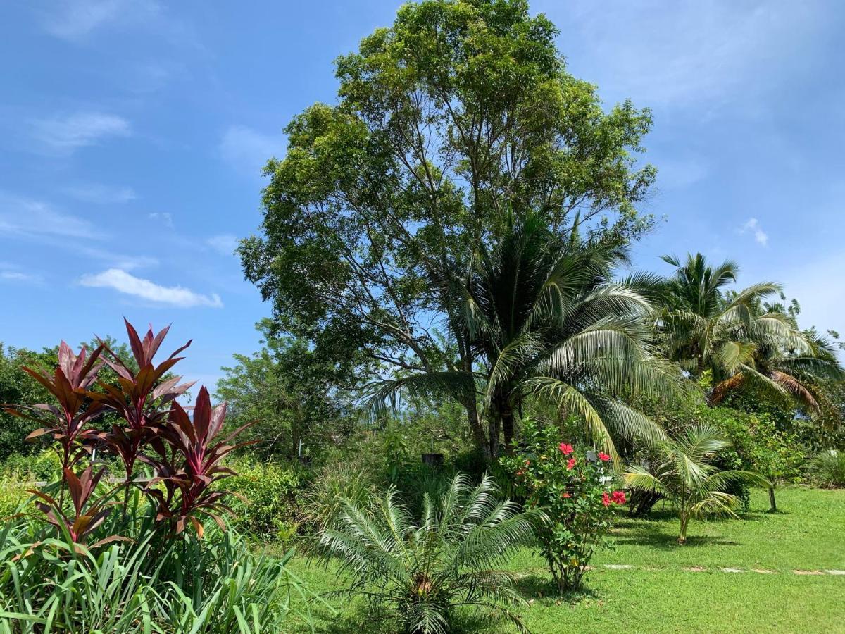 Lovely Garden Villas Pantai Cenang  Εξωτερικό φωτογραφία