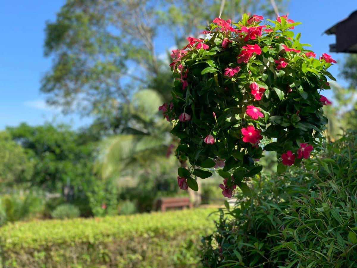 Lovely Garden Villas Pantai Cenang  Εξωτερικό φωτογραφία