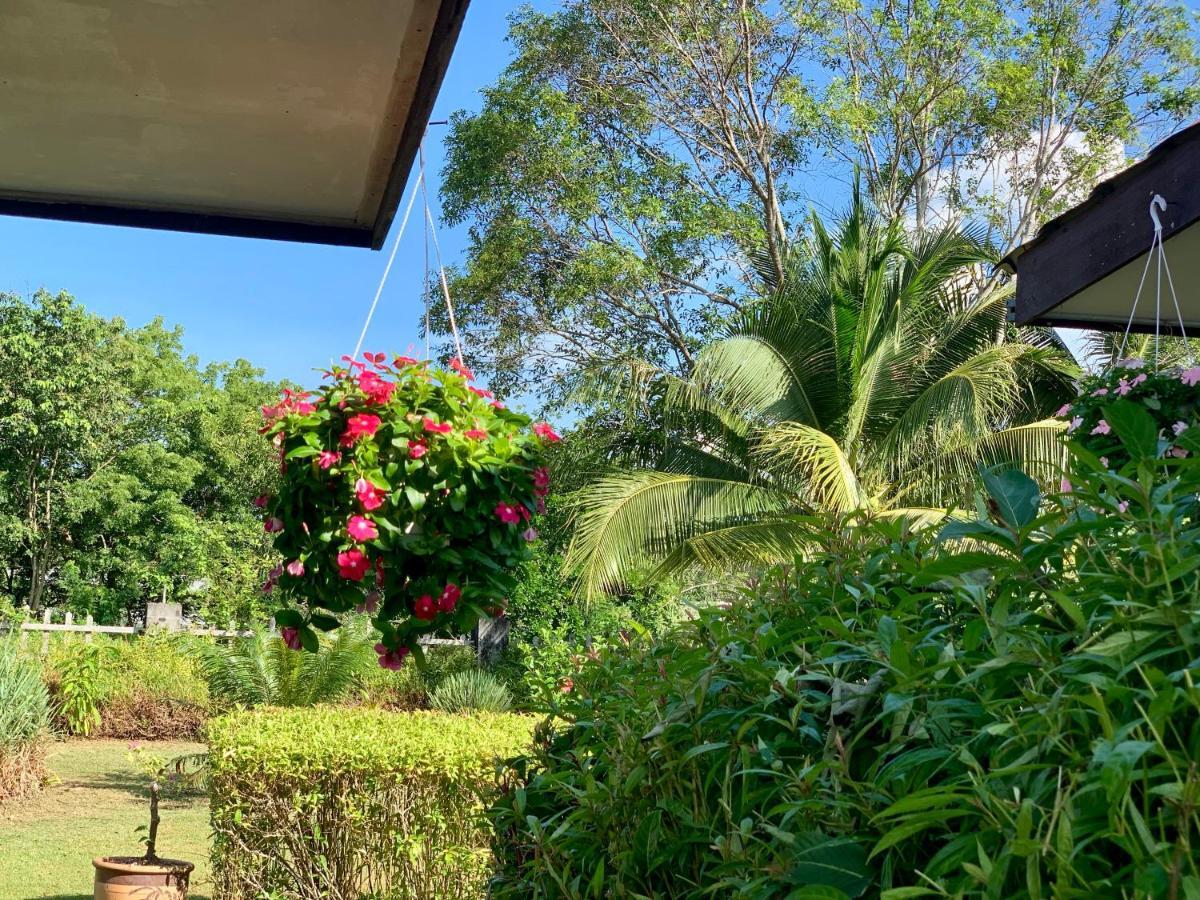 Lovely Garden Villas Pantai Cenang  Εξωτερικό φωτογραφία